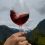 Todo lo que tienes que saber del Vino Malbec Argentino