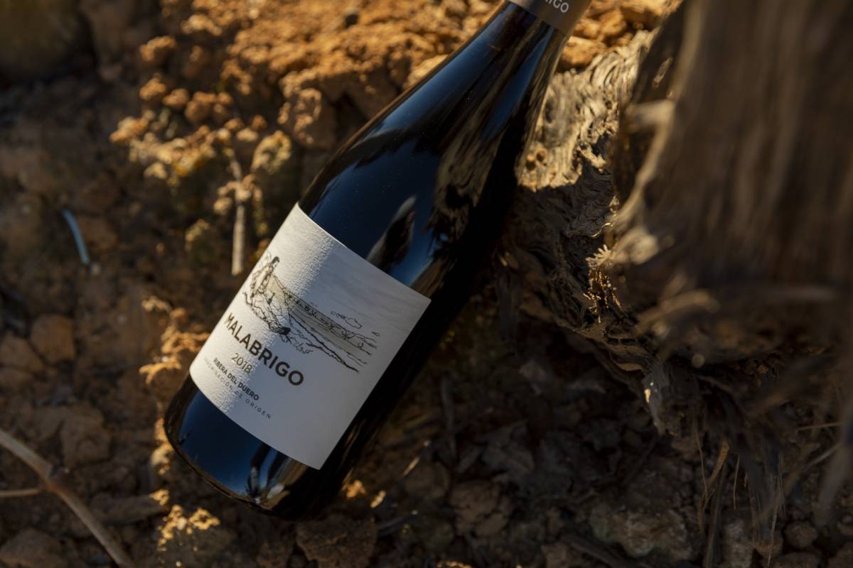 Un vino de Bodegas Cepa 21, Malabrigo, reconocido en el mundo entero 1