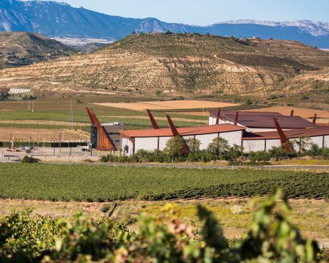 la bodega Pagos del Rey alberga el primer museo del vino de la región 36