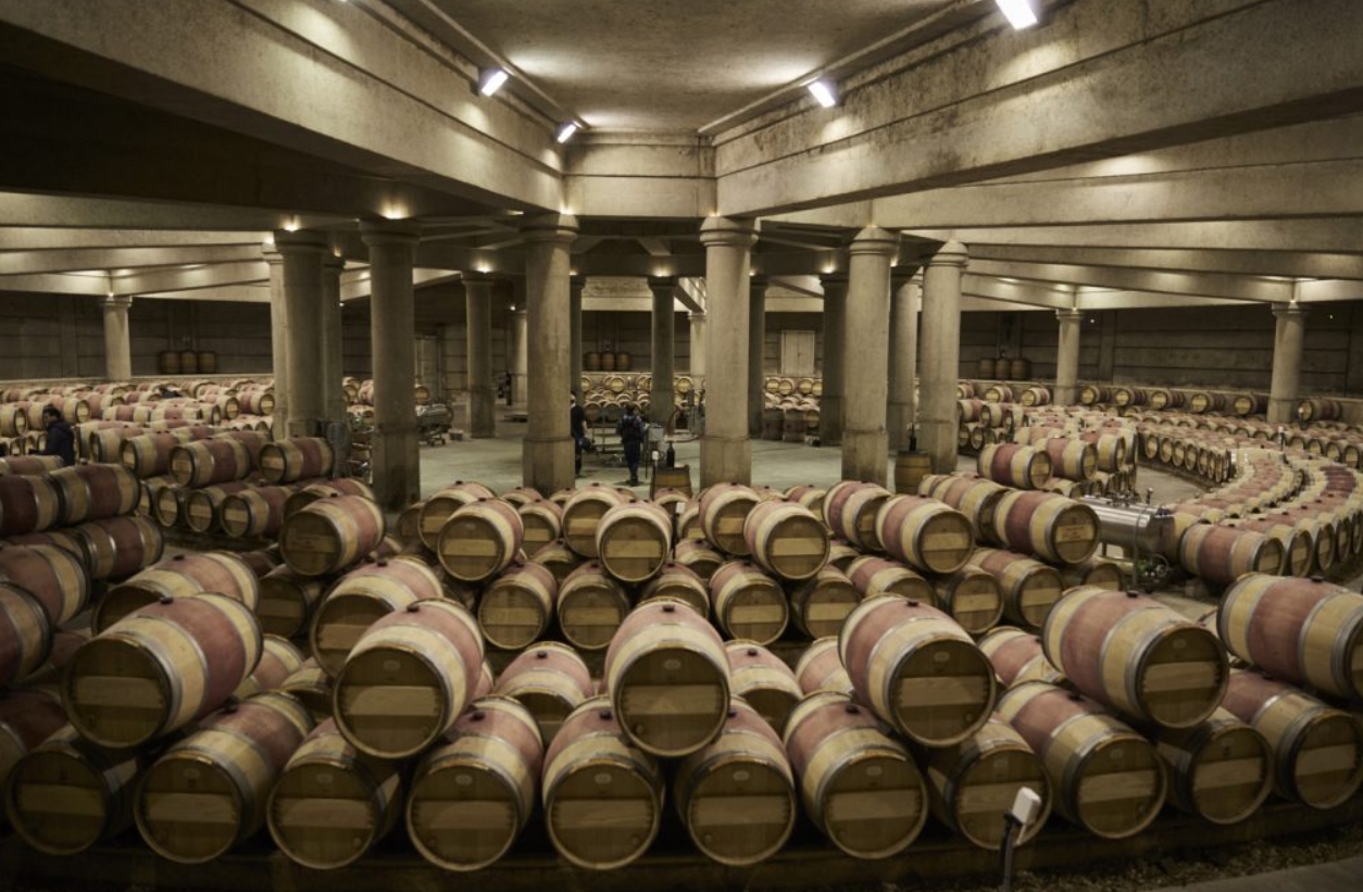 El Futuro del Vino en el Legado de Château Lafite Rothschild 47