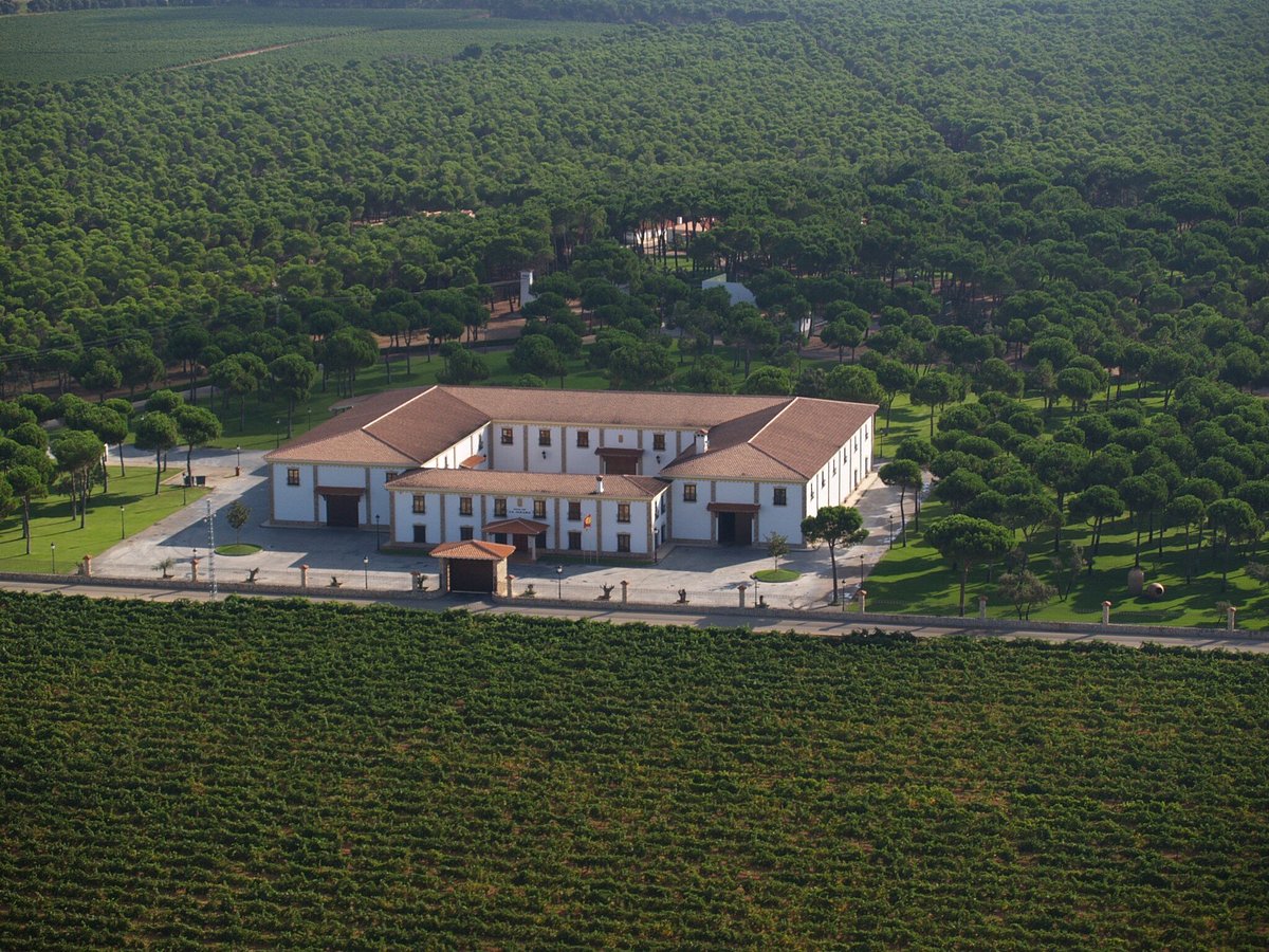 La Mancha y la Excelencia Gigante en el sector Vitivinícola 1