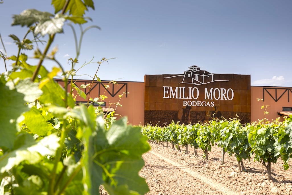 Los vinos de Emilio Moro en la Ribera del Duero y el Bierzo 2