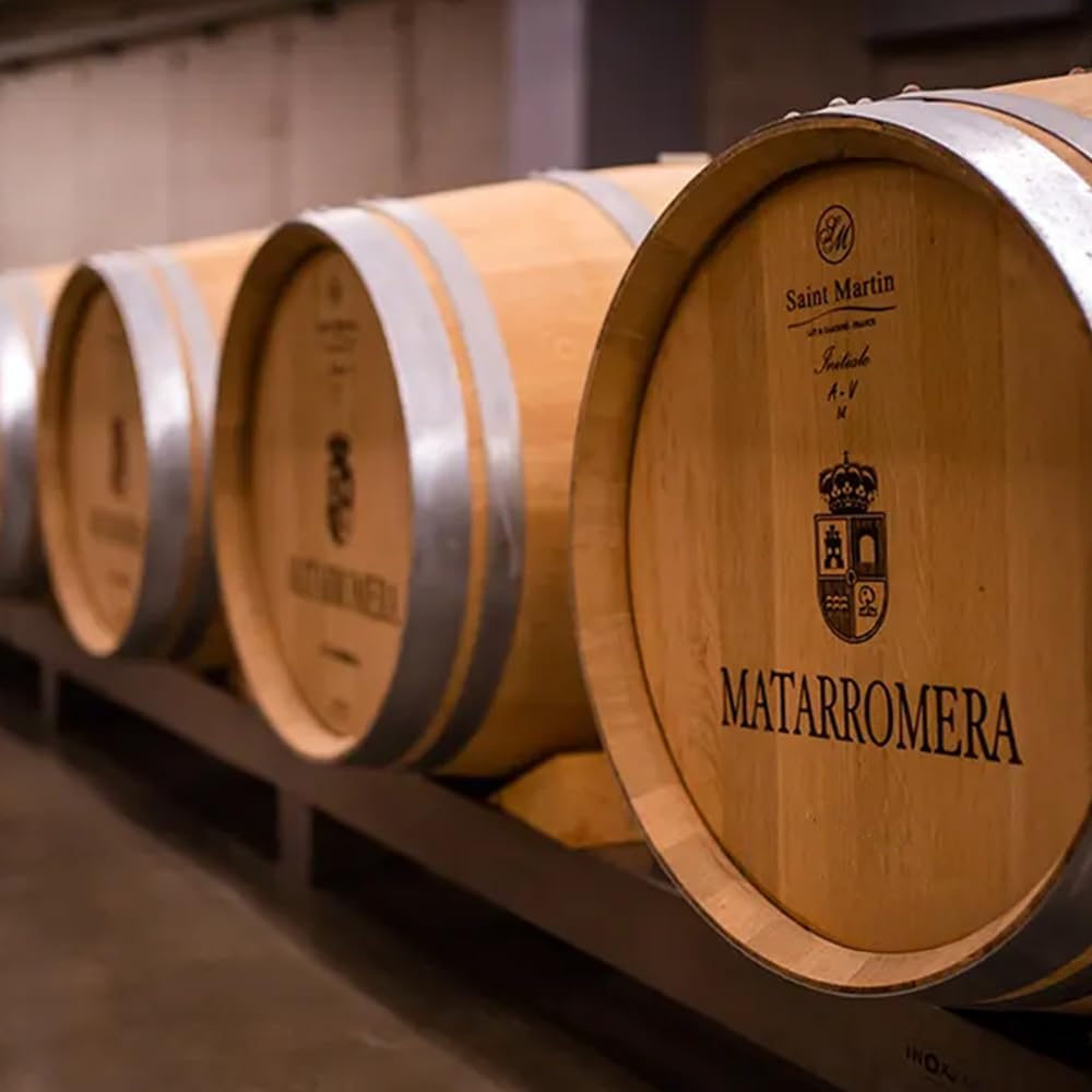 Armonía en el Paladar: La Guía Definitiva de Aperitivos y Vinos 3 Armonía en el Paladar: La Guía Definitiva de Aperitivos y Vinos 3